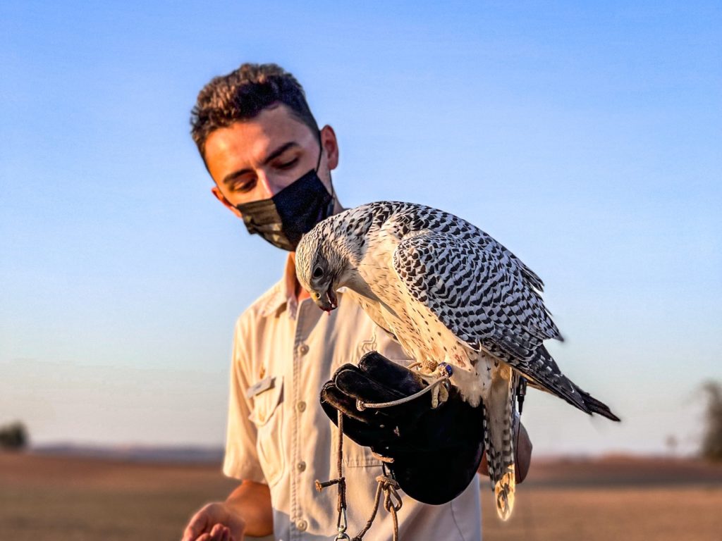 Al Maha Luxury Collection Dubai