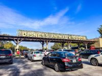 Animal Kingdom