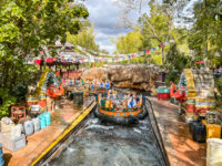 Animal Kingdom Disney World Orlando