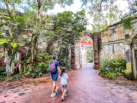 Animal Kingdom Disney World Orlando