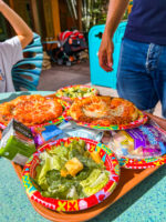 Animal Kingdom Disney World Orlando