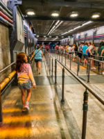 Animal Kingdom Disney World Orlando