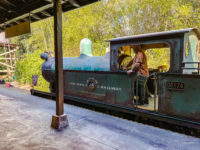 Animal Kingdom Disney World Orlando