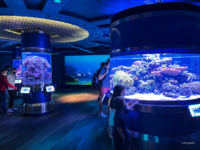 EPCOT Disney World Orlando