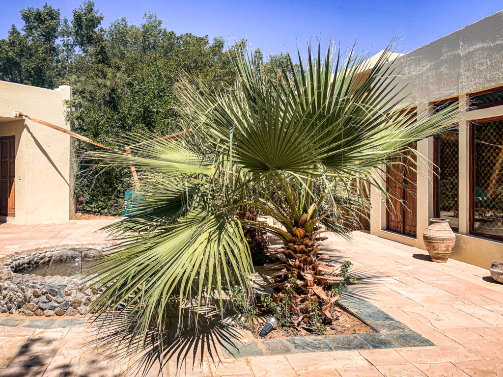 al maha palmier emirates suite