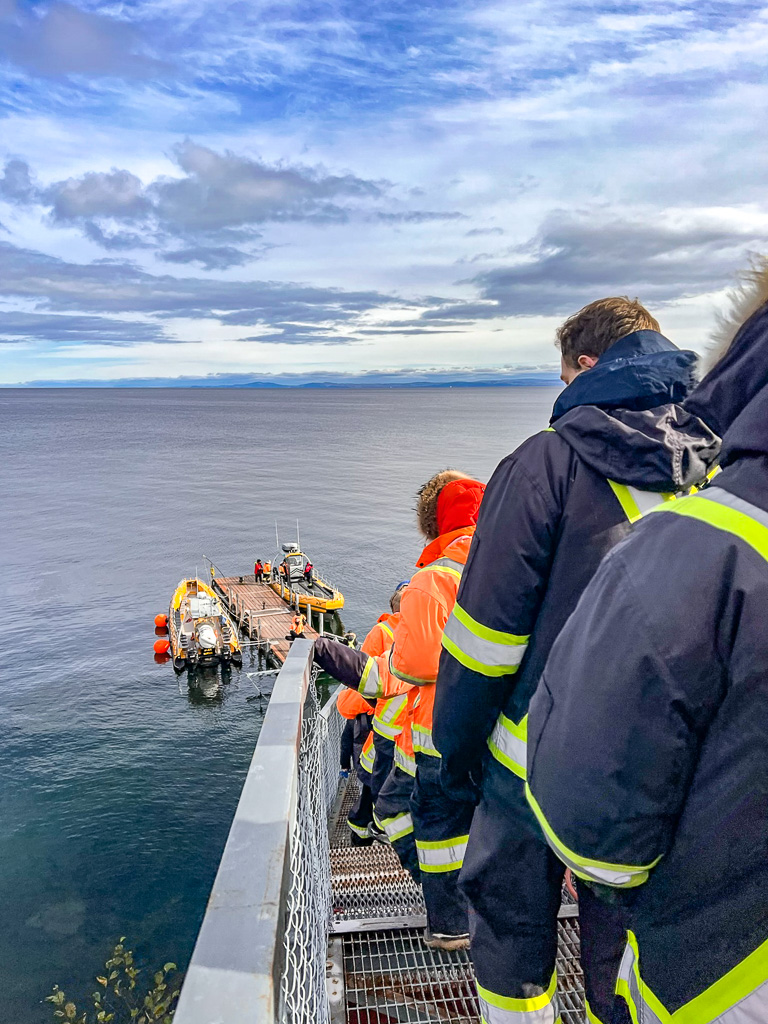 Observation des baleines – Crédit Maude-1