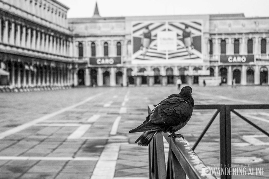 Place St Marc Italie