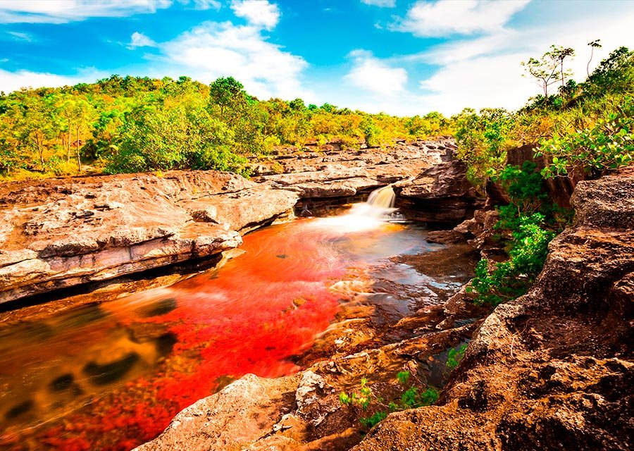 11. Rivière Cano Cristales - ProColombia