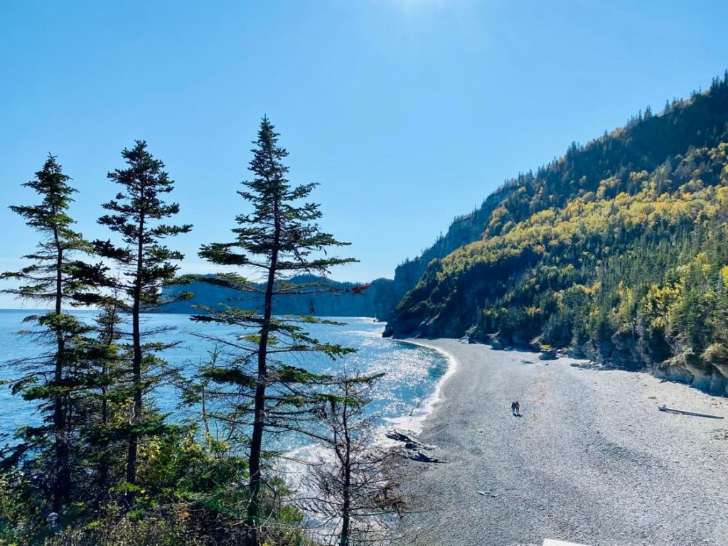 -. Cap Bon-Ami – Marjorie D. Lafond