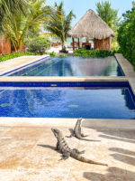 A06 Holbox Hôtel Mystique