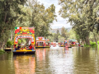 J01 Xochimilco