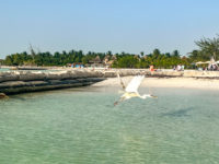 L03 Holbox Plage