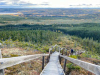 Alexander Murray Trail 1