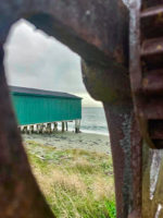 Bonavista English Harbour 1