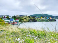 Bonavista English Harbour
