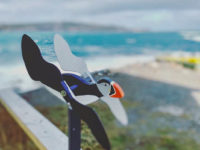 Bonavista Village D Elllliston