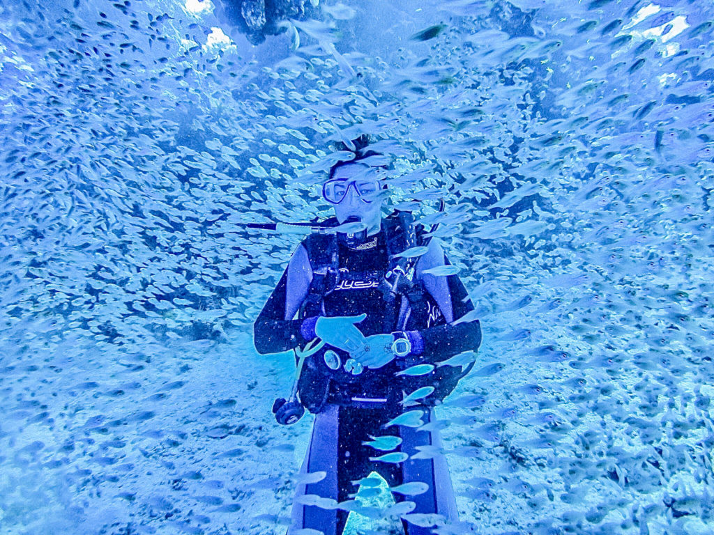 Plongée en Égypte