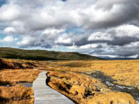 Gros Morne Rando De Tablelands