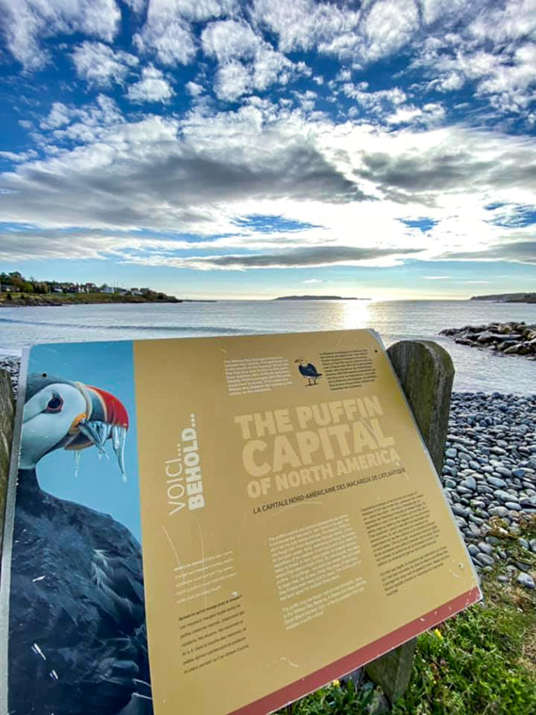 Irish Loop Witless Bay