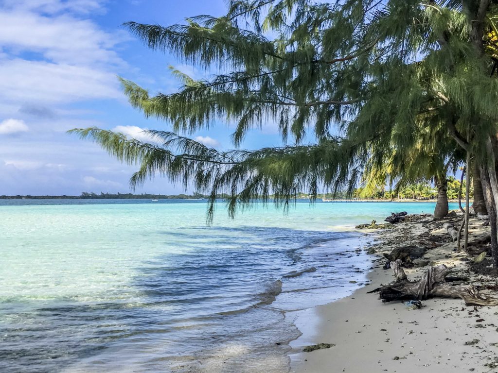 Roatan Plongée sous-marine