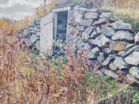 Root Cellars De Elliston Dans Bonavista