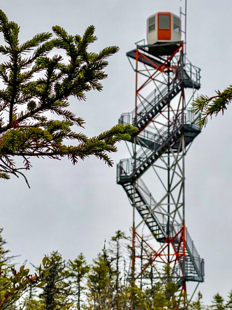 Terra Nova Parc National 2
