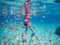 Anse d'Arlet Récif Martinique Crédit Frédéric Deluen