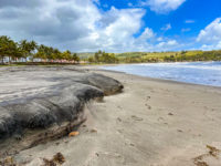 Le Tombolo De Sainte Marie Martinique Crédit Frédéric Deluen39