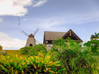 Martinique Crédit Frédéric Deluen 1