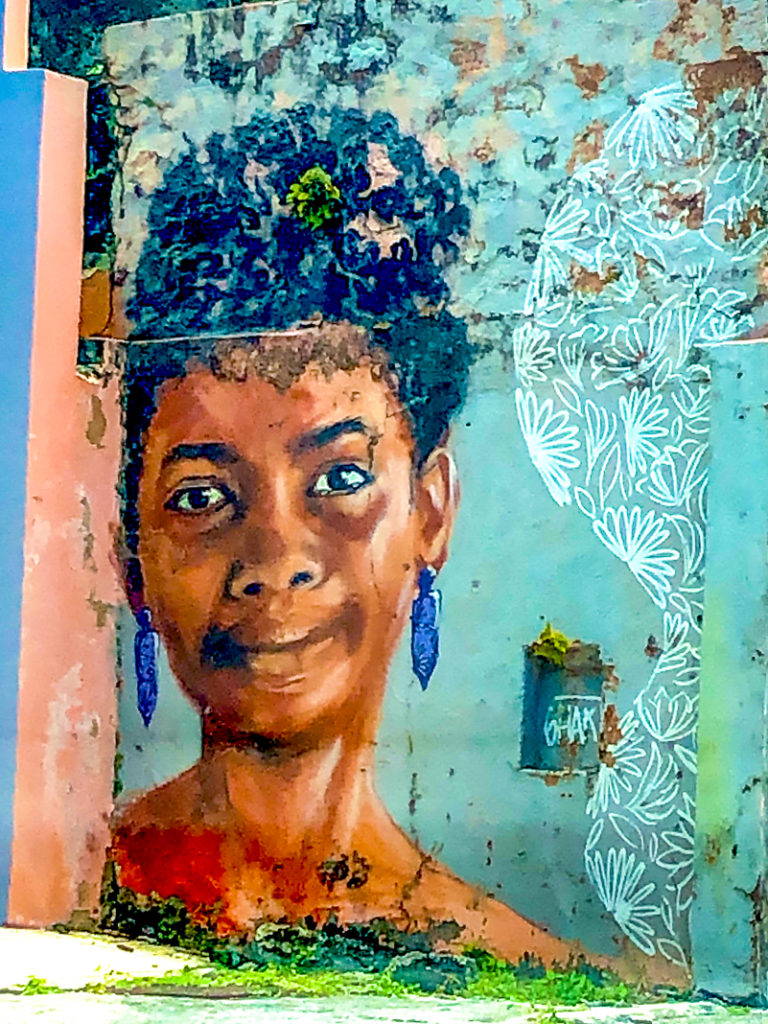 Nord Bassepointe Martinique Crédit Frédéric Deluen3