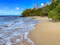 Sainte Luce Plage Pont Café Martinique Crédit Frédéric Deluen 4