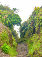 Montagne Pelée Coeur Du Volcan Martinique Crédit Frédéric Deluen 2