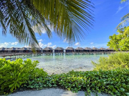 Sheraton Maldives Full Moon Resort & Spa