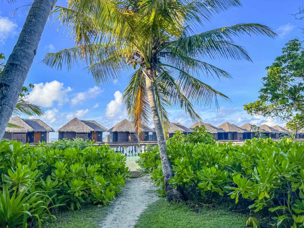 Sheraton Maldives Full Moon Resort Spa 6479