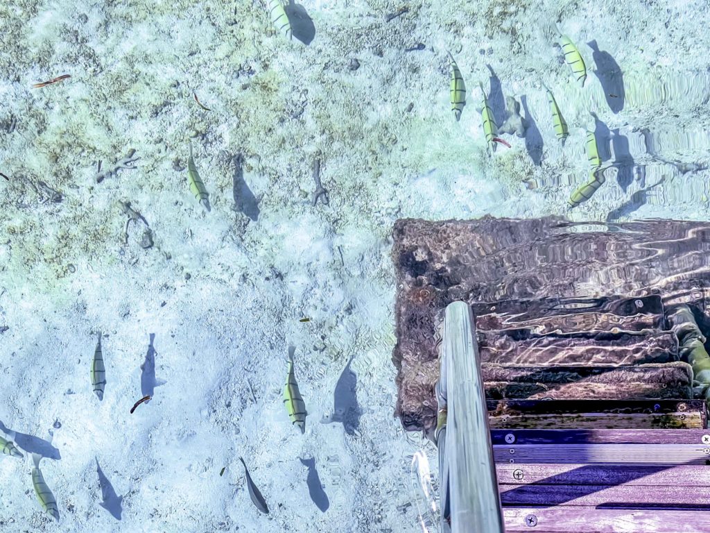 Le Méridien Maldives Resort & Spa