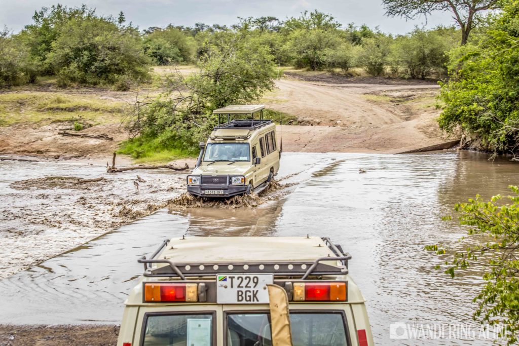 Safari In Africa Maasai Serengeti Ngorongoro 3639