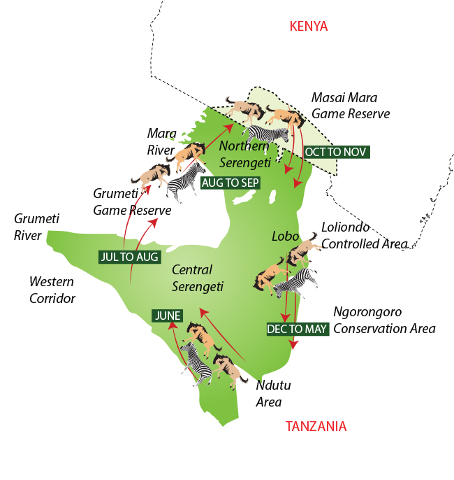 Wilderbeest Migration Map Www.serengetiparktanzania.com
