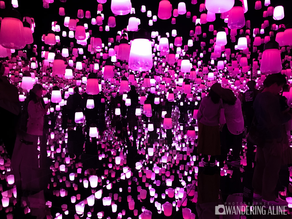 Exposition teamlab 1