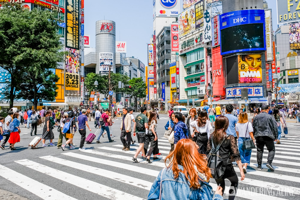 Shibuya crossing