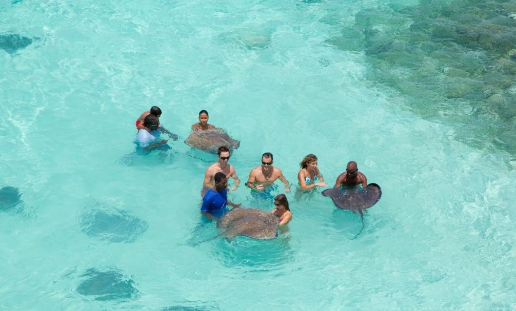 Stingray City