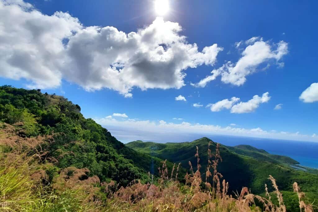 Wallings-Nature-Reserve-antigua