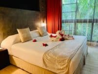 Chambre au te moana 1