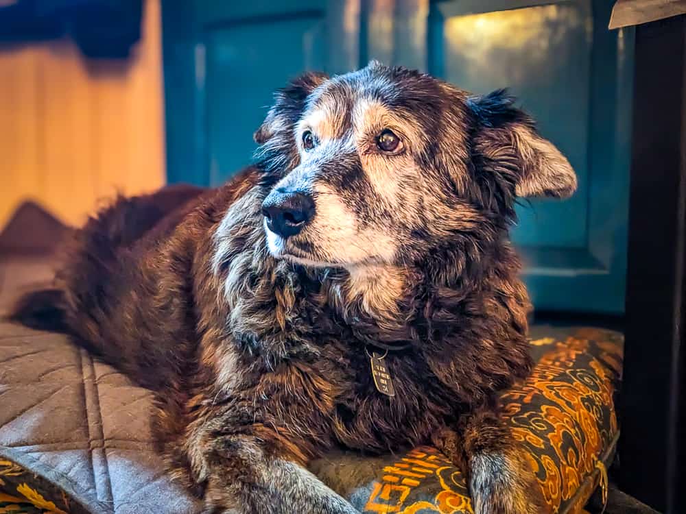 La maison de l'Île d'Orléans 36