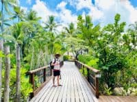 Vegetation sur le site 1