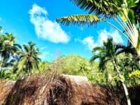 Vue sur la montagne 2