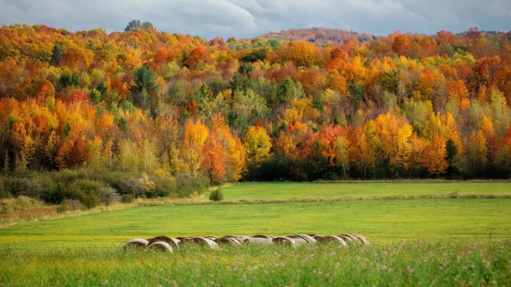 Adirondack train amtrak