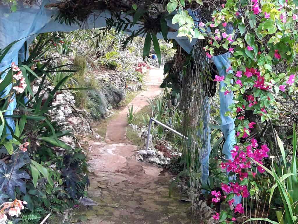 Ahhh ras natango garden gallery facebook