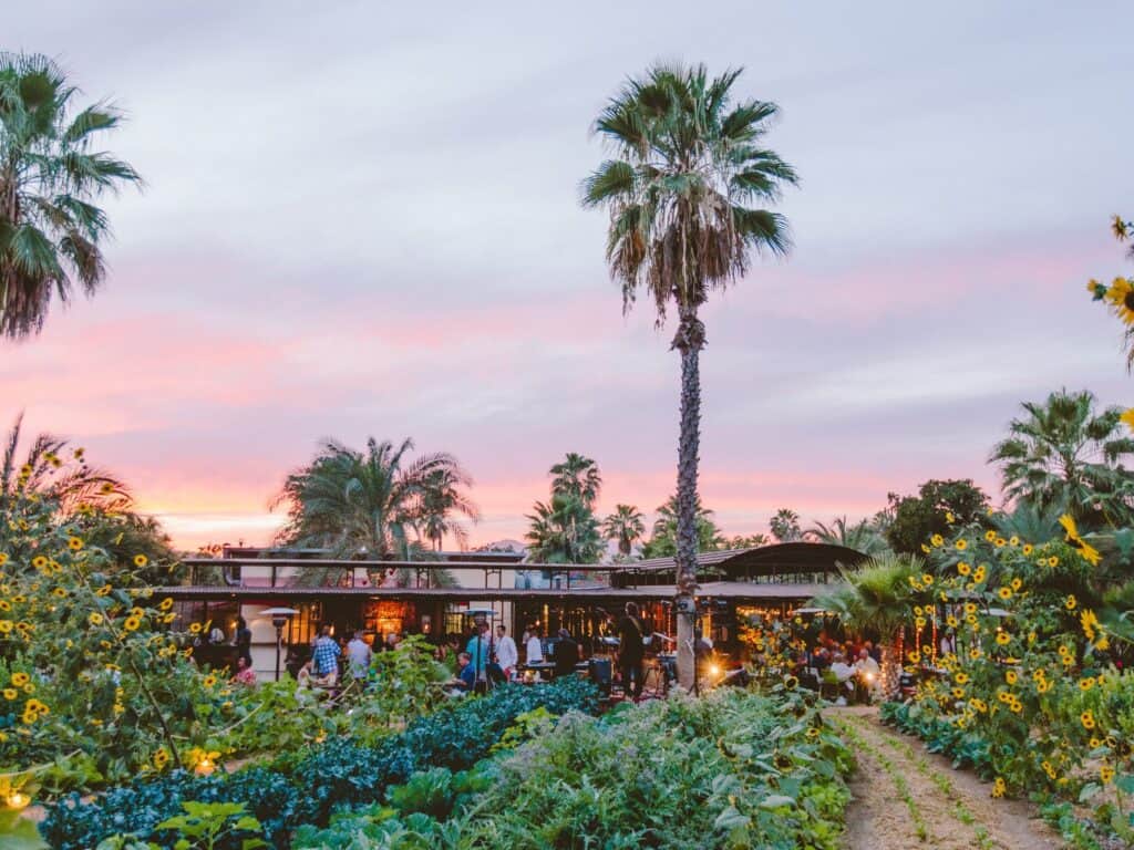 Floras field kitchen los cabos tourism facebook