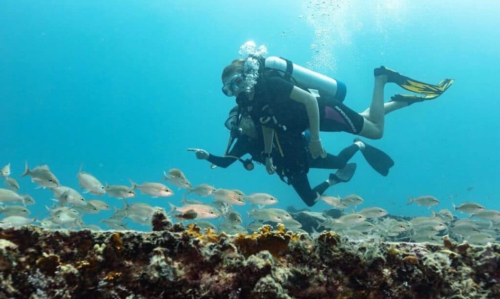 plongée à Anguilla – @regina.tagliabue