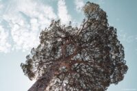 1. colisée jonathan314